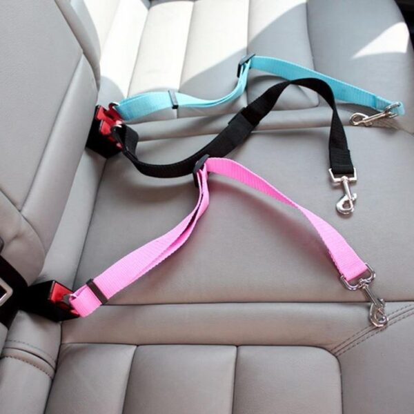 Dog Seatbelt