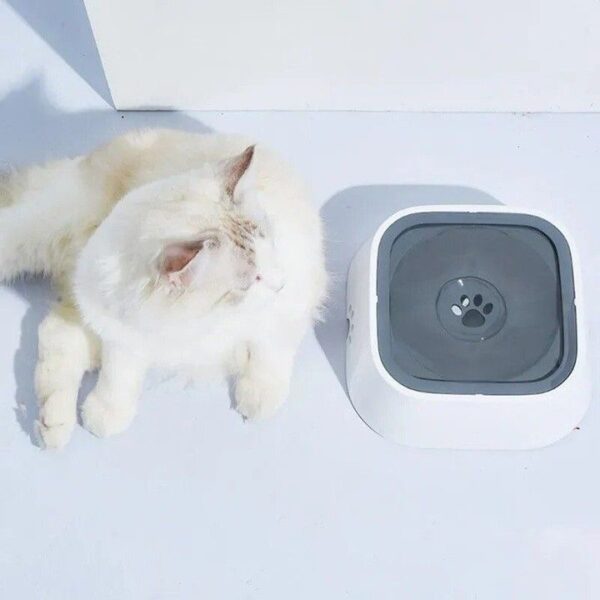 Anti splash water bowl